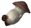 SoulShroom