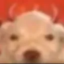 stupidfuckingdemondogIstole stupidfuckingdemondogIstole