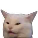catYap