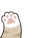 81801kittypaw23