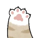 KittyPaw11