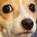 oh Discord emoji