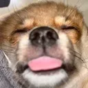 tongueout