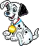 dalpuppy