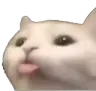 cat_Bleh