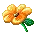 OrangeBlossom