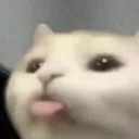 bleh