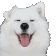 :dog_happy_smile: