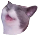 kekat