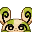 SpindaPeek_s