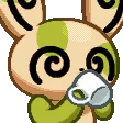 SpindaSip_s