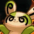 SpindaRise_s