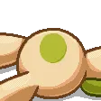 SpindaDead_s