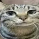 me_when
