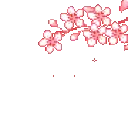 aestheticcherryblossom
