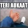 TeriAukaat
