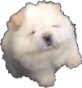 mashpotato