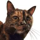 Steffy Discord emoji