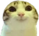 :hihi: