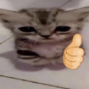 pA_Okei Discord emoji
