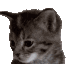 pA_yawner Discord emoji