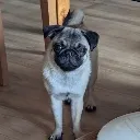 <:acha:1380945047767355522>