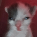 brotherer Discord Emoji from /𝗘𝗰𝗹𝗶𝗽𝘀𝗲