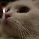 yukiwonder custom emote from /𝗘𝗰𝗹𝗶𝗽𝘀𝗲