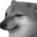 seddoge