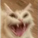 laugh