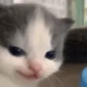 catsmirk