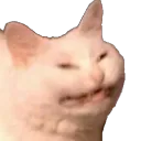 :Smug: