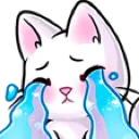 kittyCry