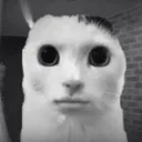 __