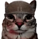 thousandyardstarecat