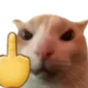 middlefinger