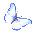butterflyblue11