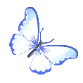 butterflyblue11