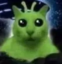gato_alien