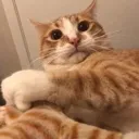 dextershock