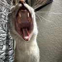 AHHHHHHHH