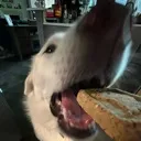 crunch