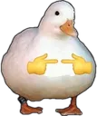 shyduck