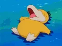 psyduck