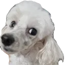 judgin_u
