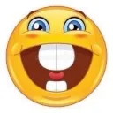 yippeeeyay