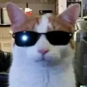 __