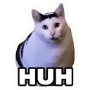 HuhCatSticker