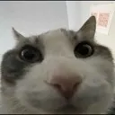 chillgng