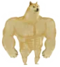 stronkdoggo
